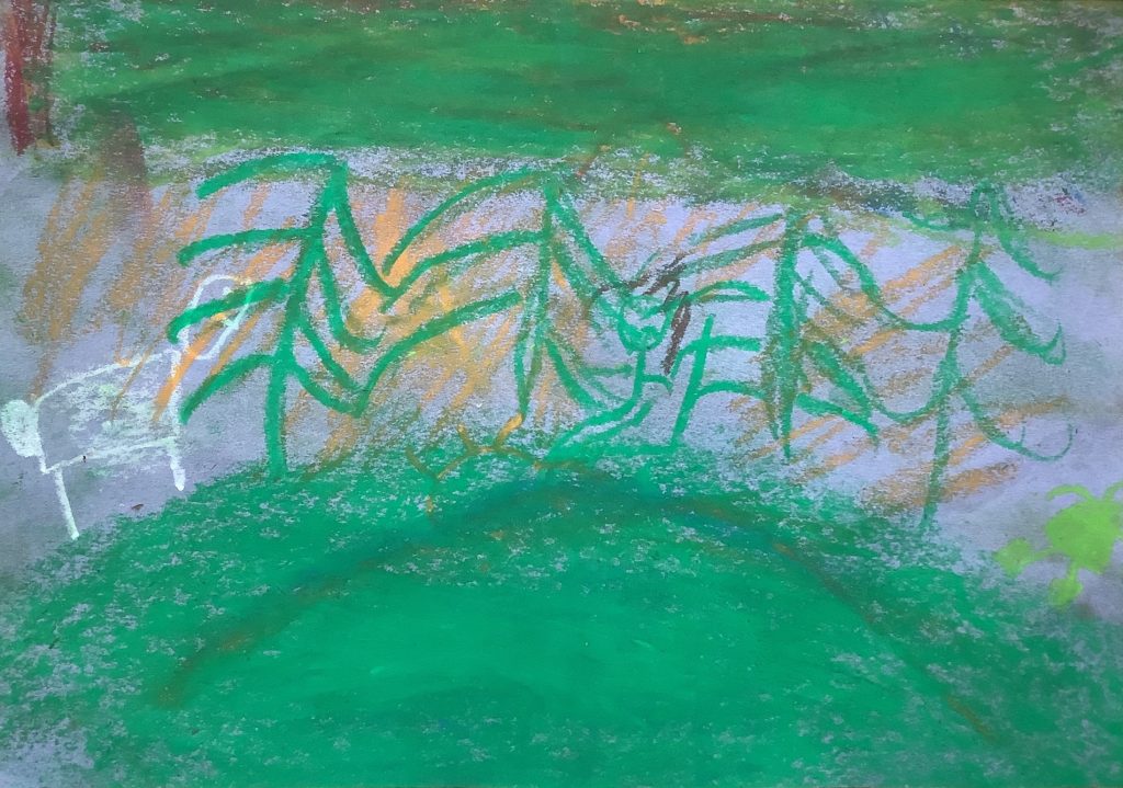 Carter's artwork from Hoyland Springwood Primary School showing a lion walking through the woods.